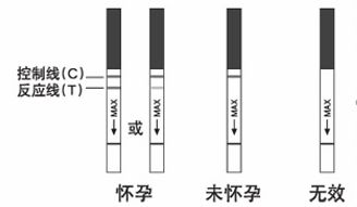 早早孕試紙弱陽圖片